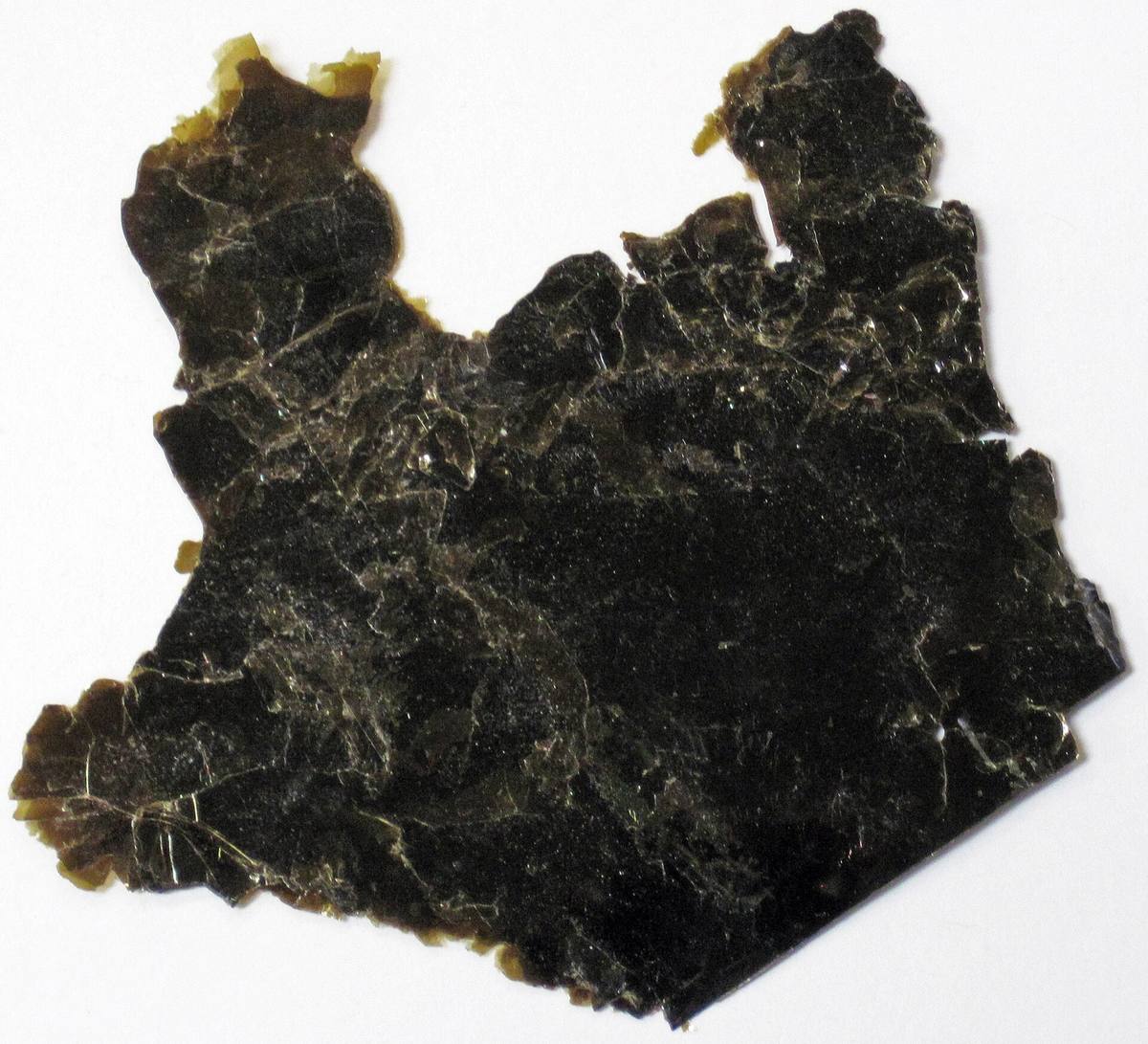 Large black biotite cleavage sheet showing perfect basal cleavage