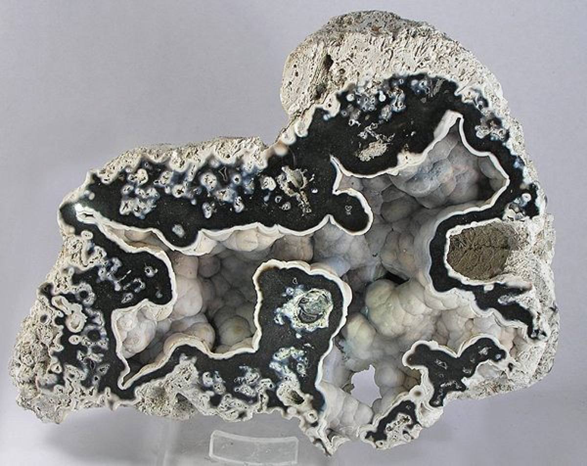 Black agate with concentric white banding, Tampa Bay, Florida
