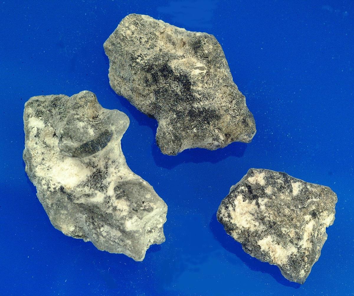 Bloedite gemstone