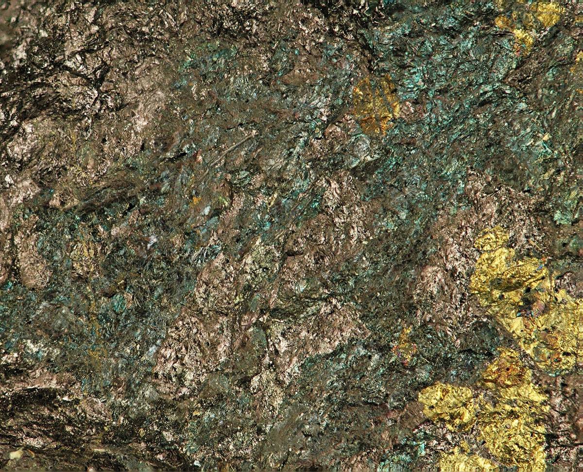 Fresh untarnished bronze bornite with chalcopyrite, Montana