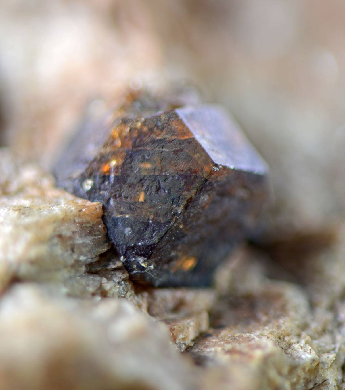 Brown Zircon
