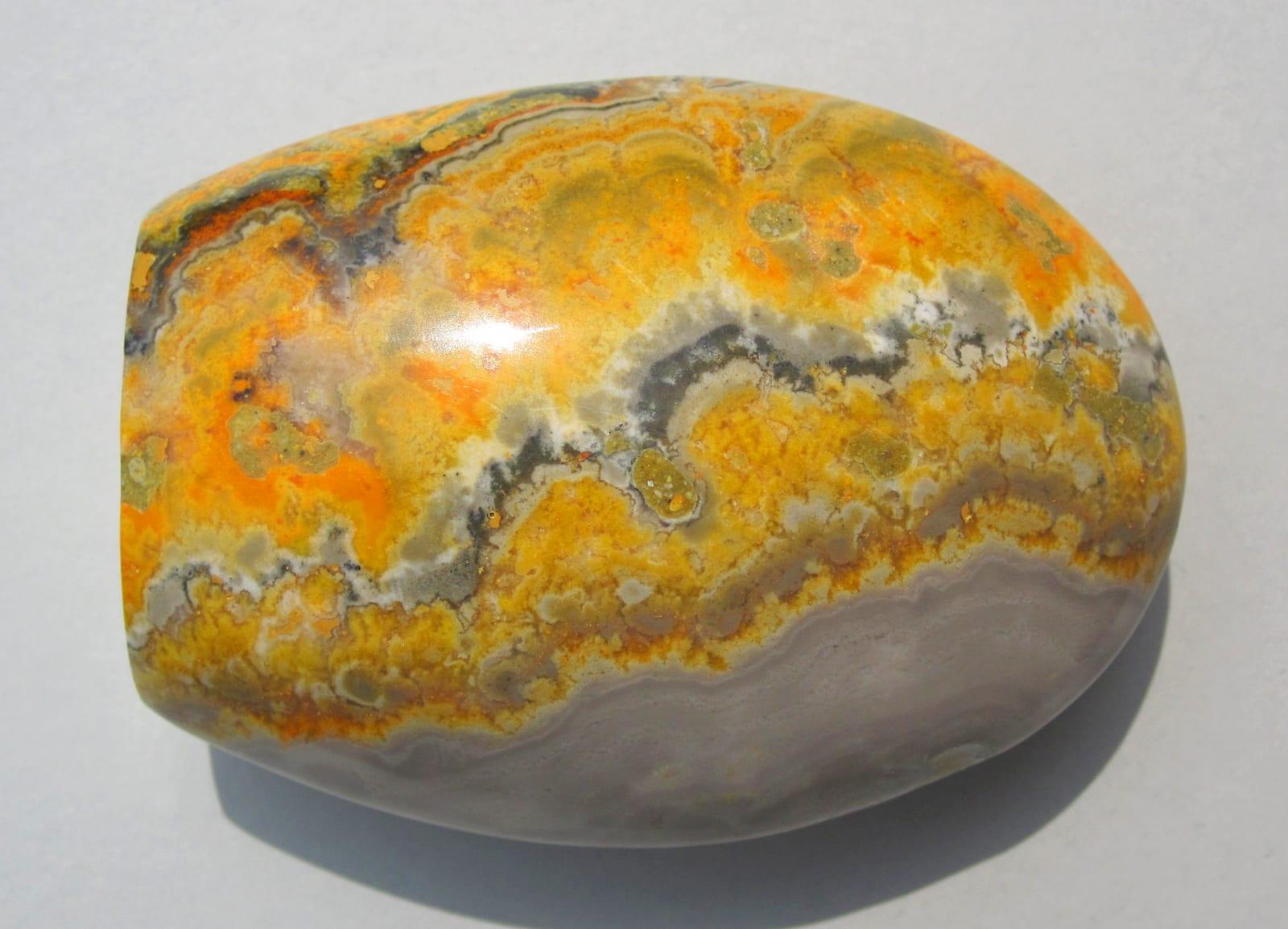Bumblebee Jasper fossil