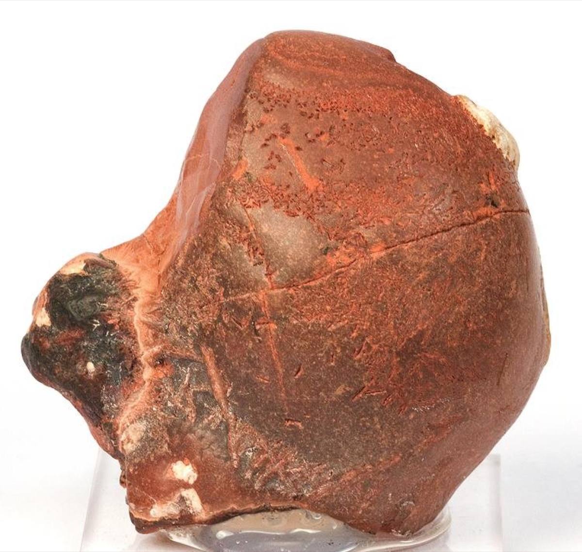 Reddish-brown wood tin nodule