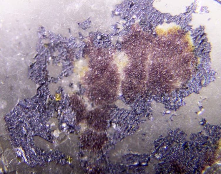 Cesplumtantite mineral