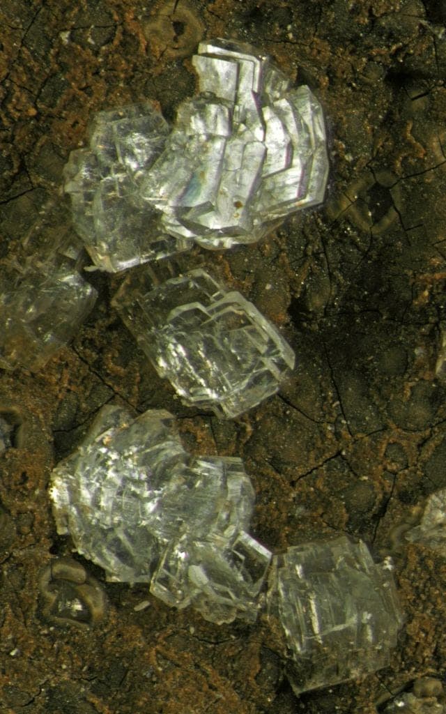 Clinoptilolite-Ca mineral