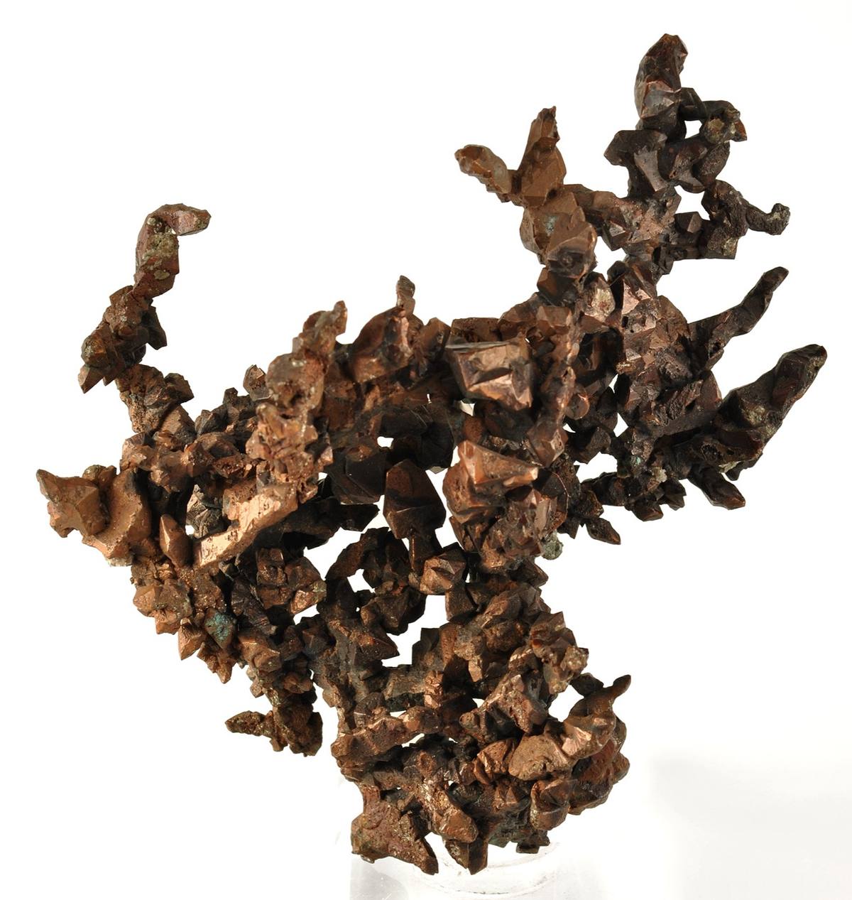 Crystallised arborescent native copper, Wolverine Mine, Michigan