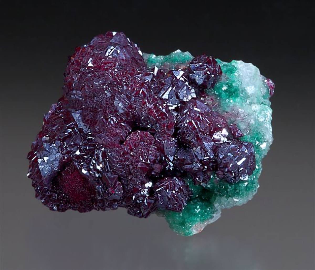 Lustrous deep-red octahedral cuprite crystals, Tsumeb