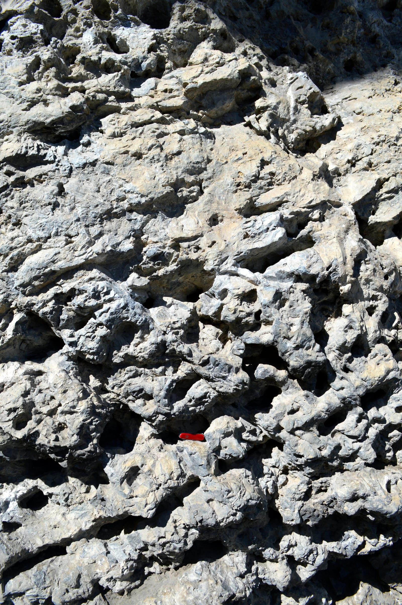 Dolostone sedimentary