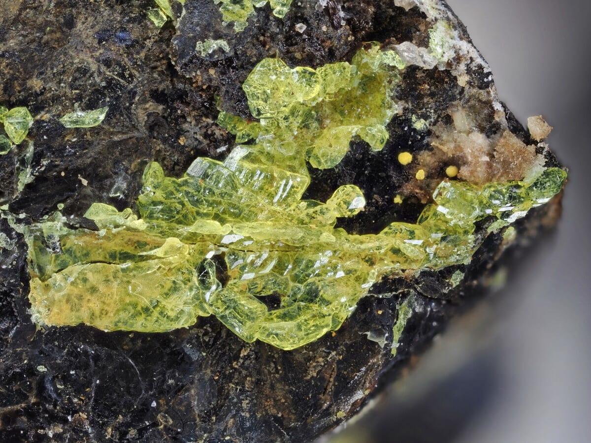 Ewingite mineral