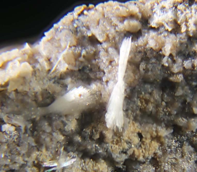 Ferrierite-NH4 mineral