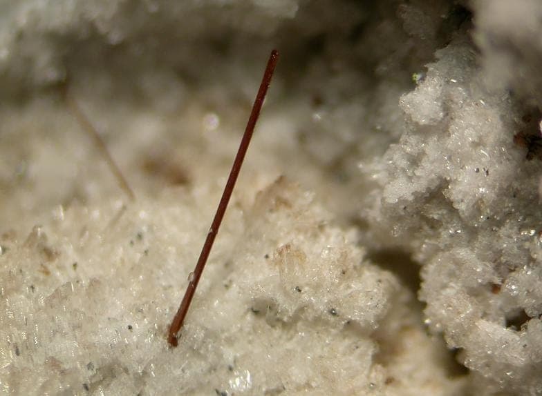Ferro-edenite mineral