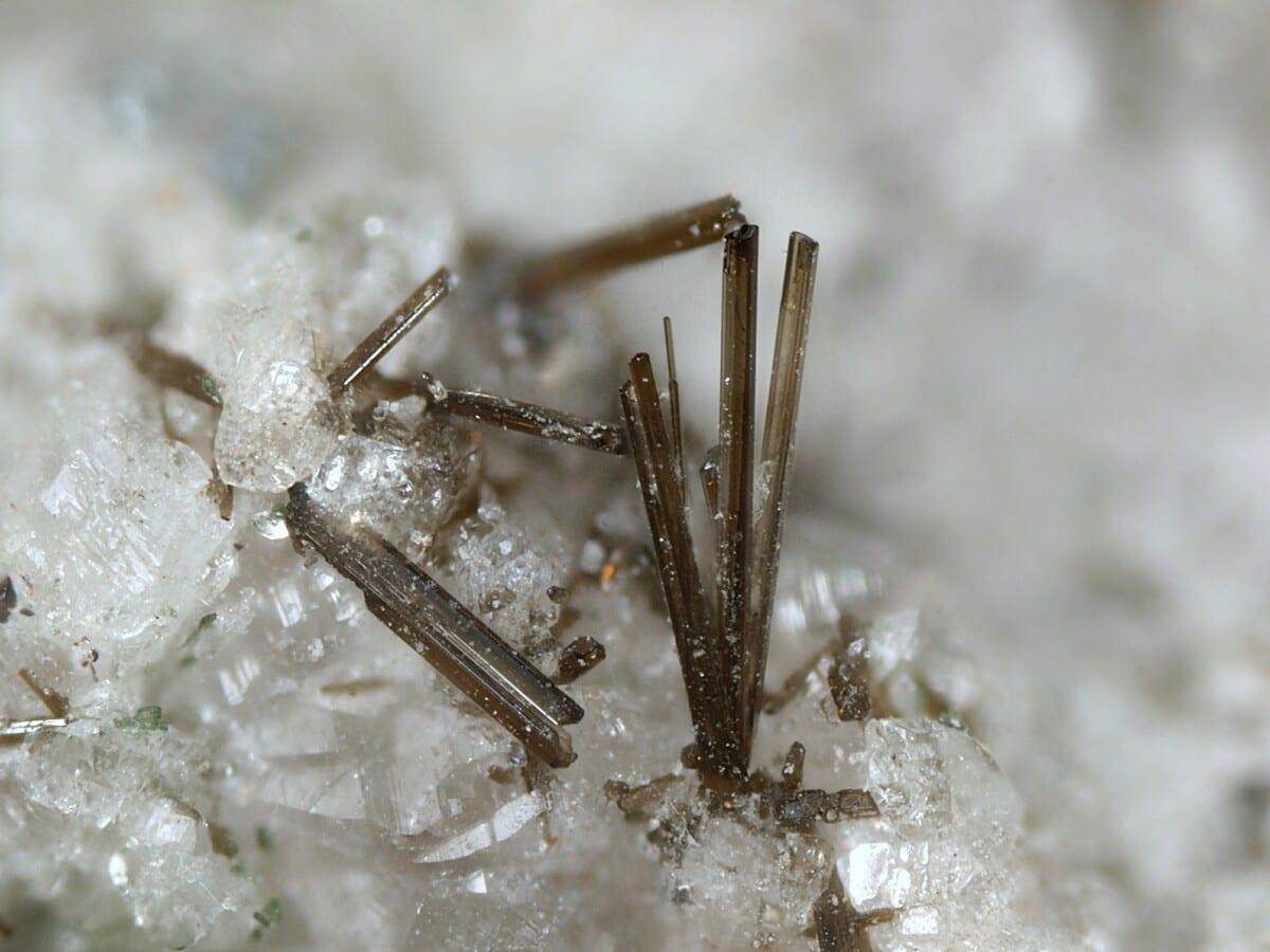 Ferro-ferri-katophorite mineral