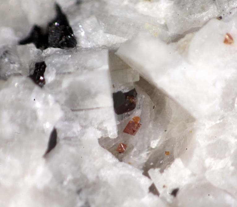Ferro-katophorite mineral