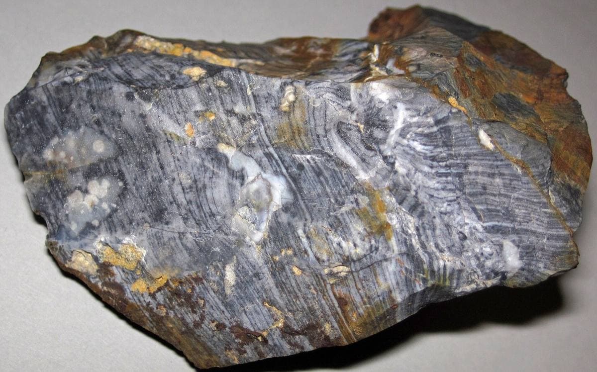 Grey-blue banded Ohio flint with weathered cortex