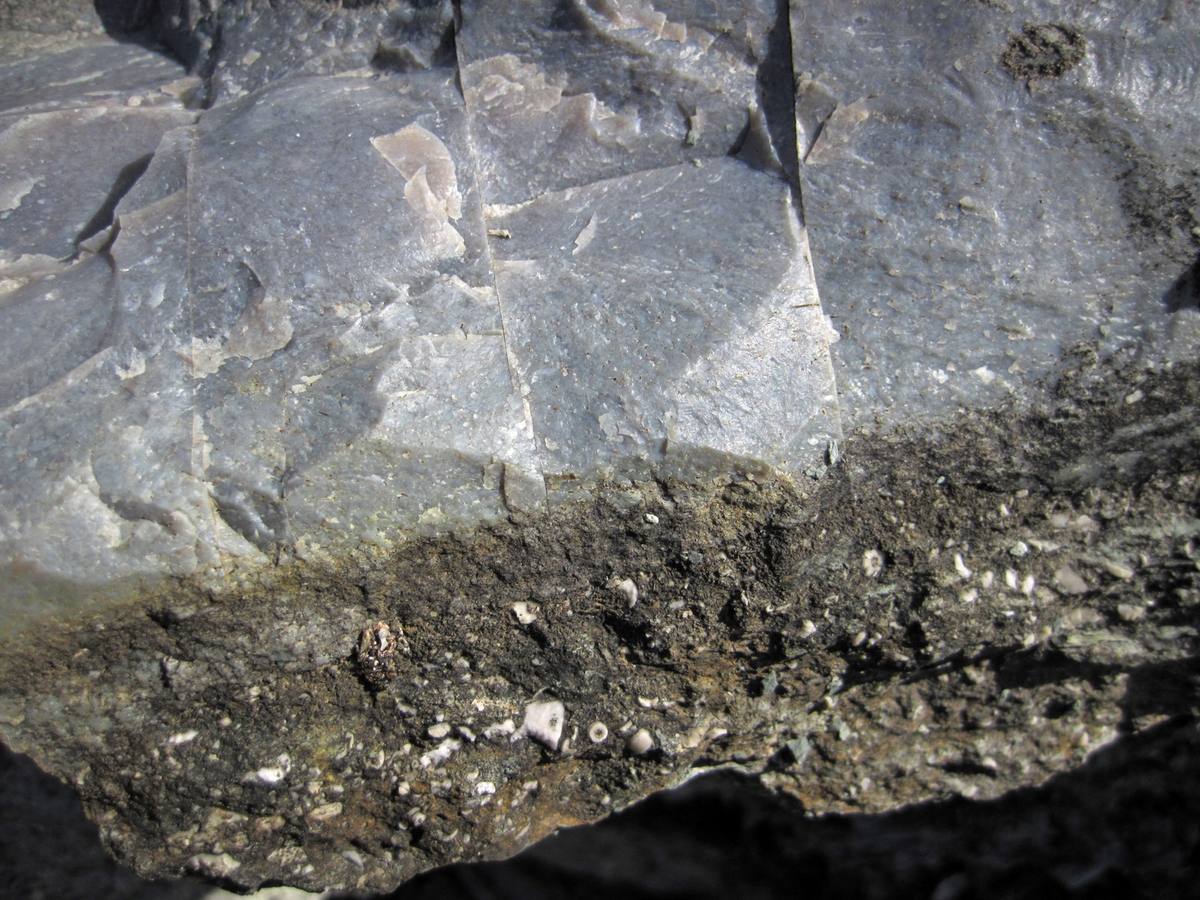 Fort Payne Chert gemstone