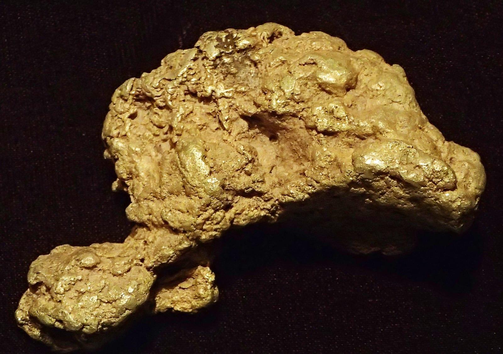 Gold Placer mineral, Gold nugget (placer gold) (Bulger Basin Placer Deposit, Pennsylvania Mountain, Alma Mining District, Park County, Colorado, USA)