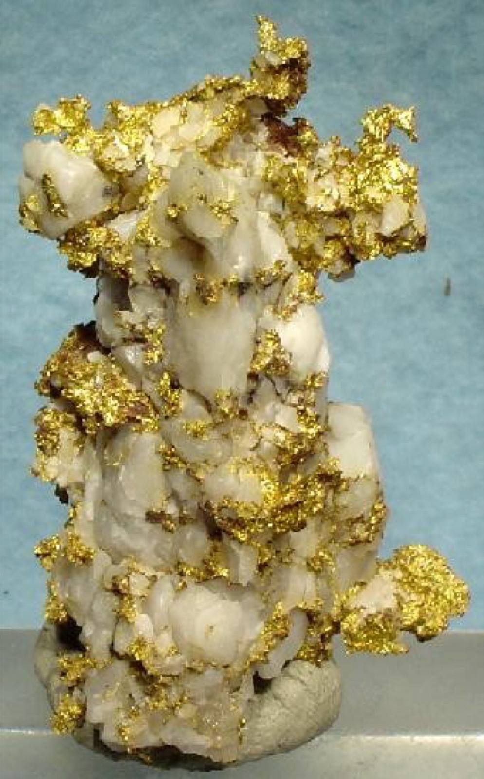 Native gold threaded through white quartz, 16-to-1 Mine, Alleghany, California
