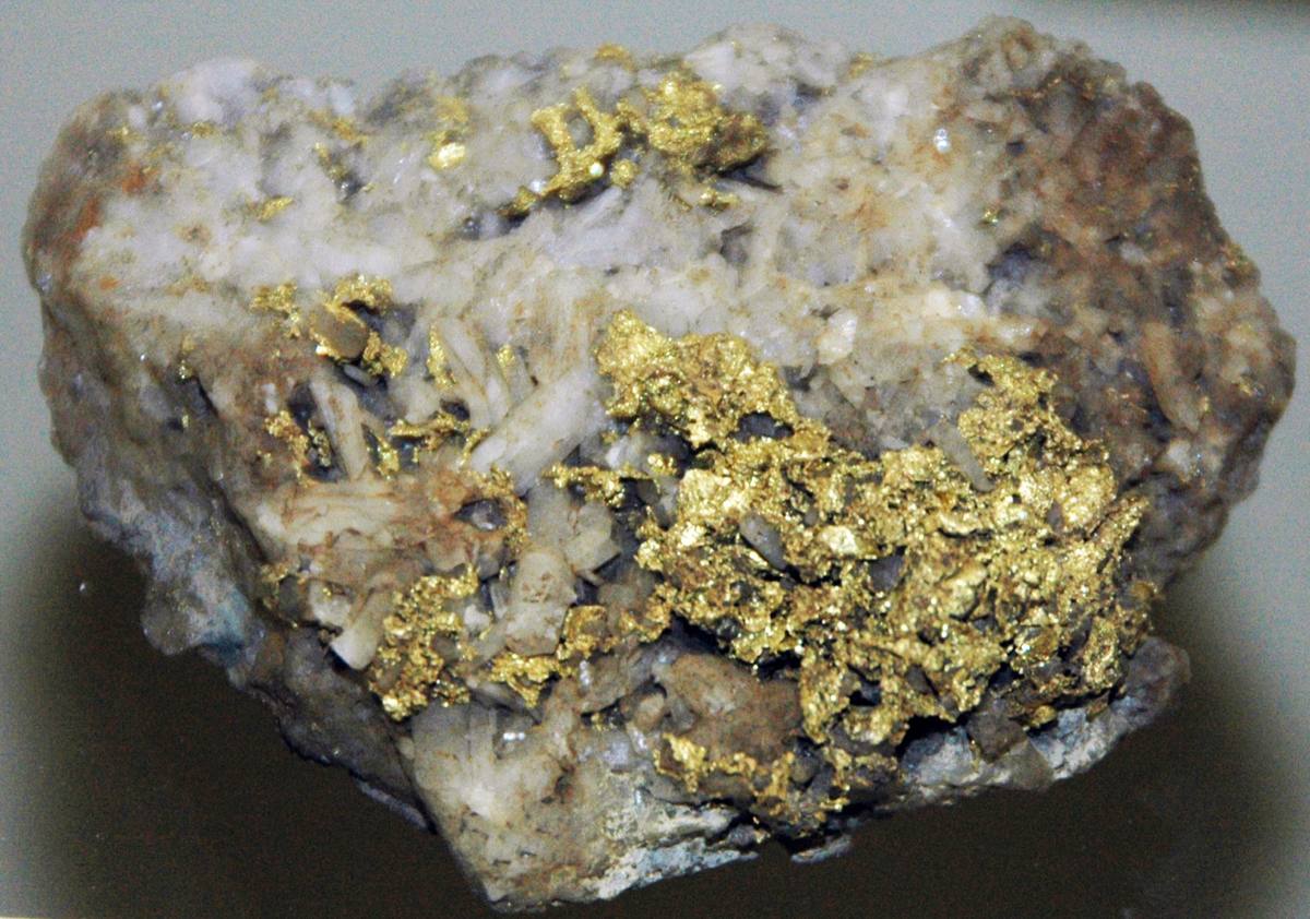 Sheet gold in quartz, North Star Mine, Grass Valley, California