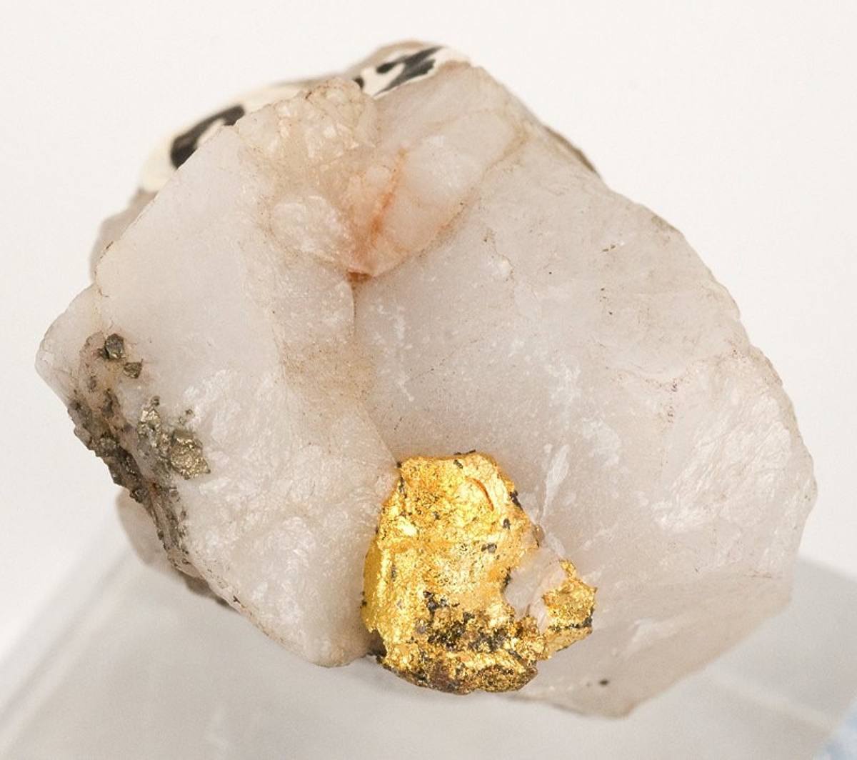 Gold nugget embedded in white quartz