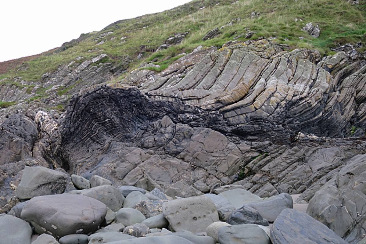 Greywacke beds exposed in coastal outcrop