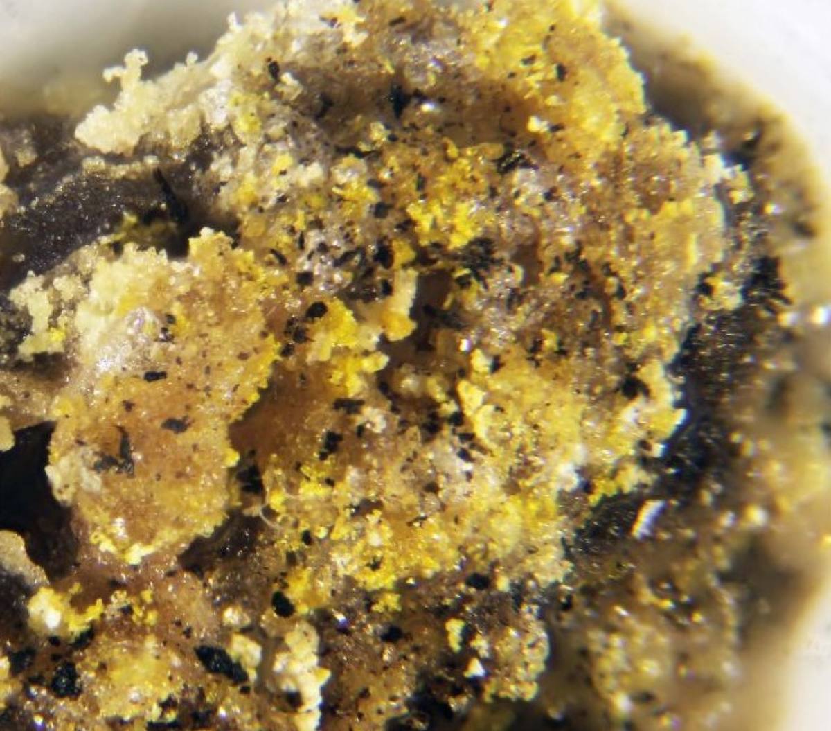 Guanine crystals from the guano deposits of North Chincha Island, Peru