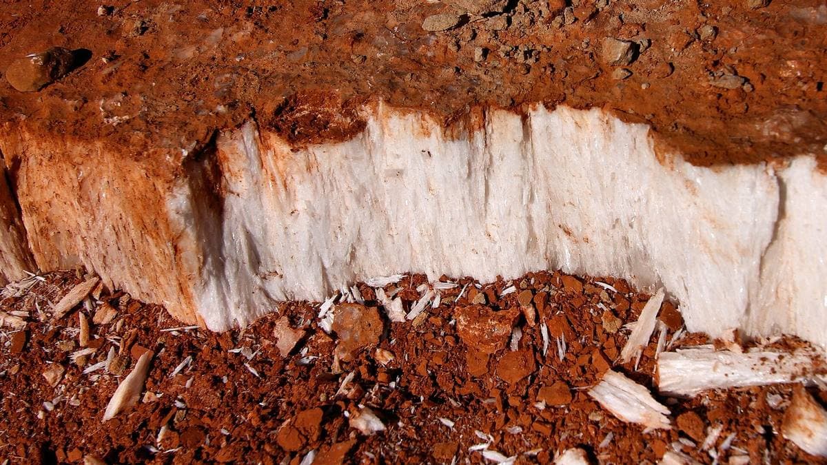 Fibrous satin spar gypsum seam in red Permian sediment, Texas