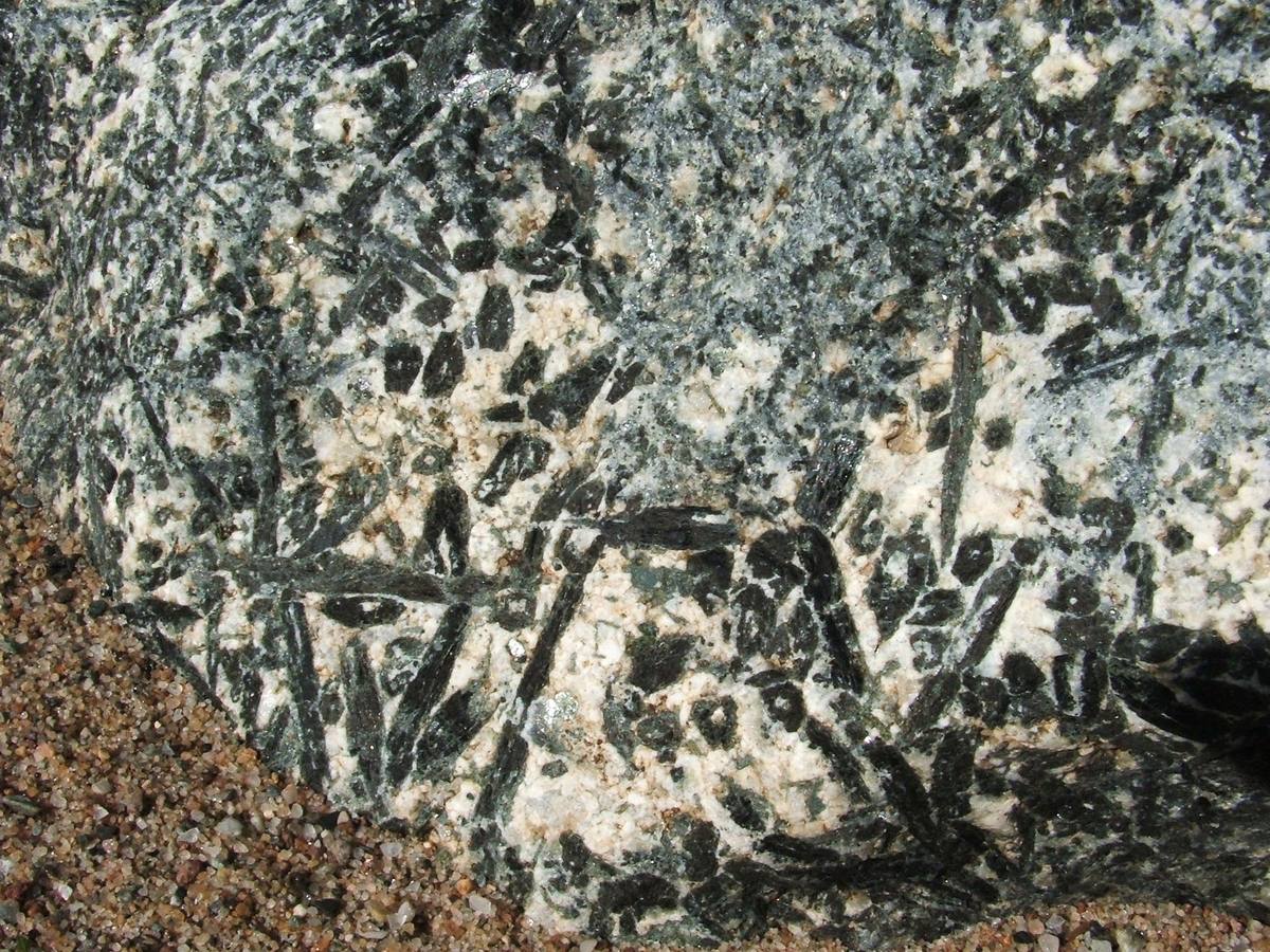 Bladed hornblende needles in a rock face