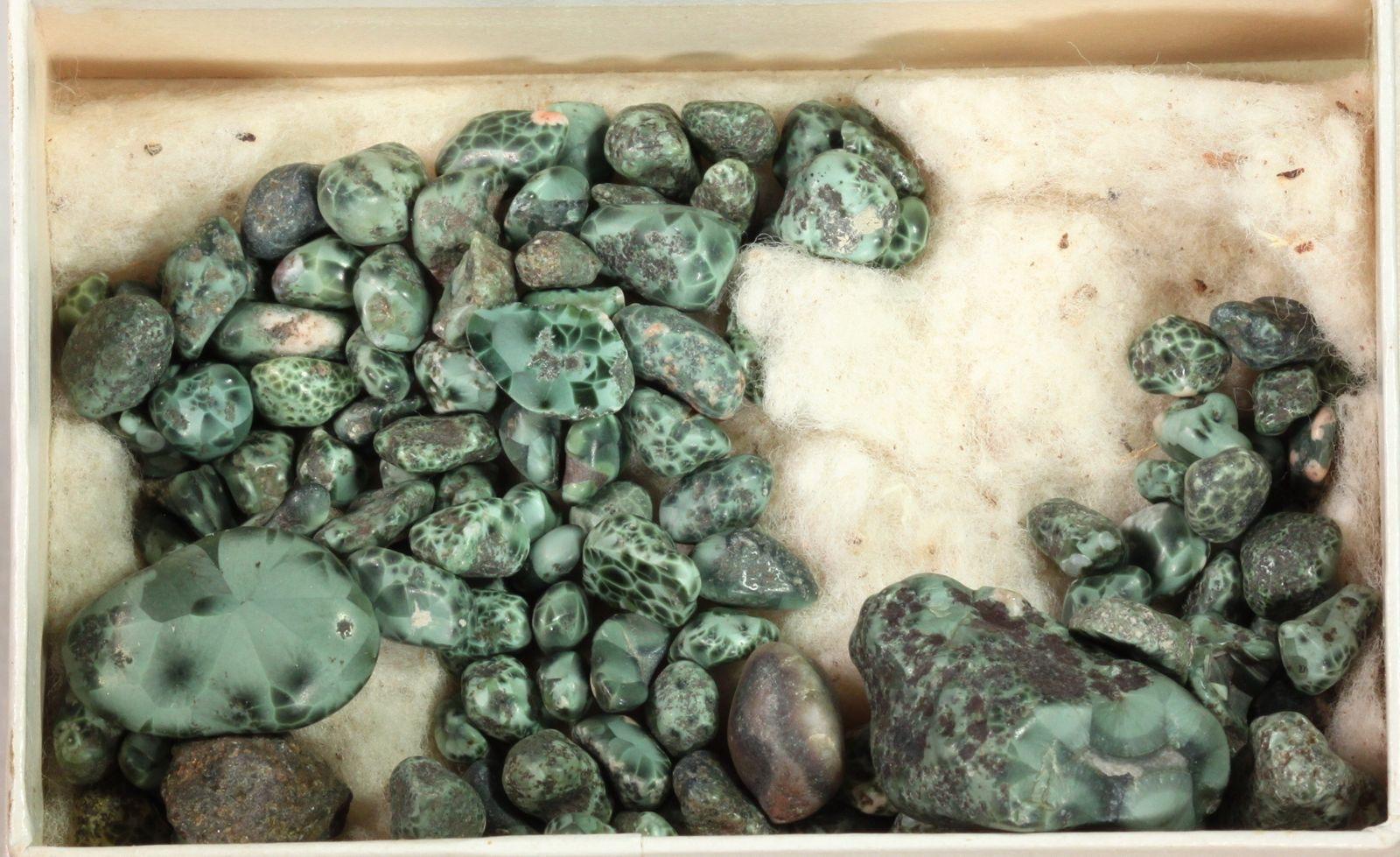 Green turtleback-patterned greenstone (chlorastrolite) pebbles from Isle Royale, Michigan
