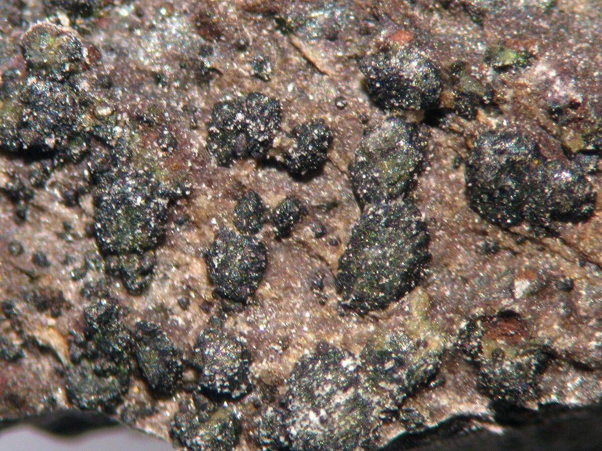 Kanonaite mineral