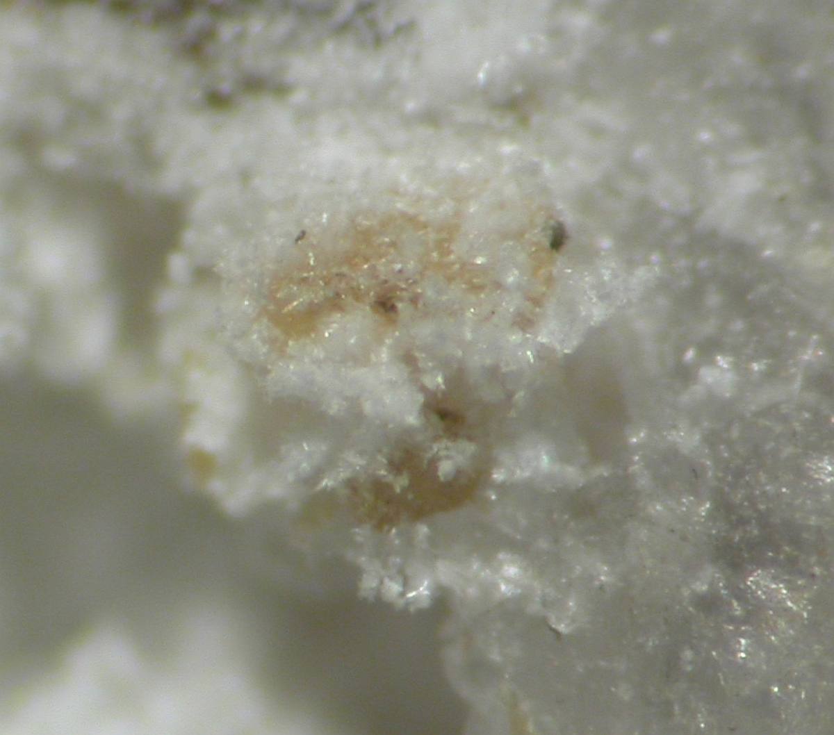 Kazakovite grain in matrix