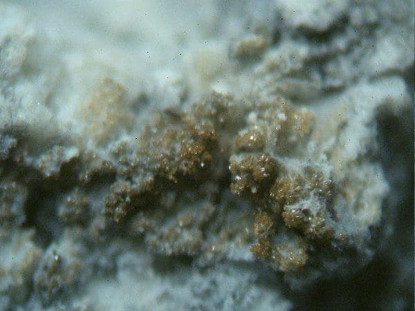 Lafossaite mineral