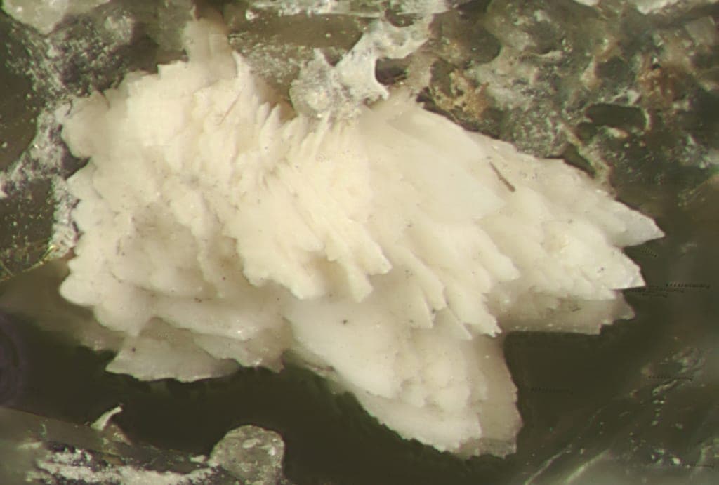 Lanthanite-(Ce) mineral