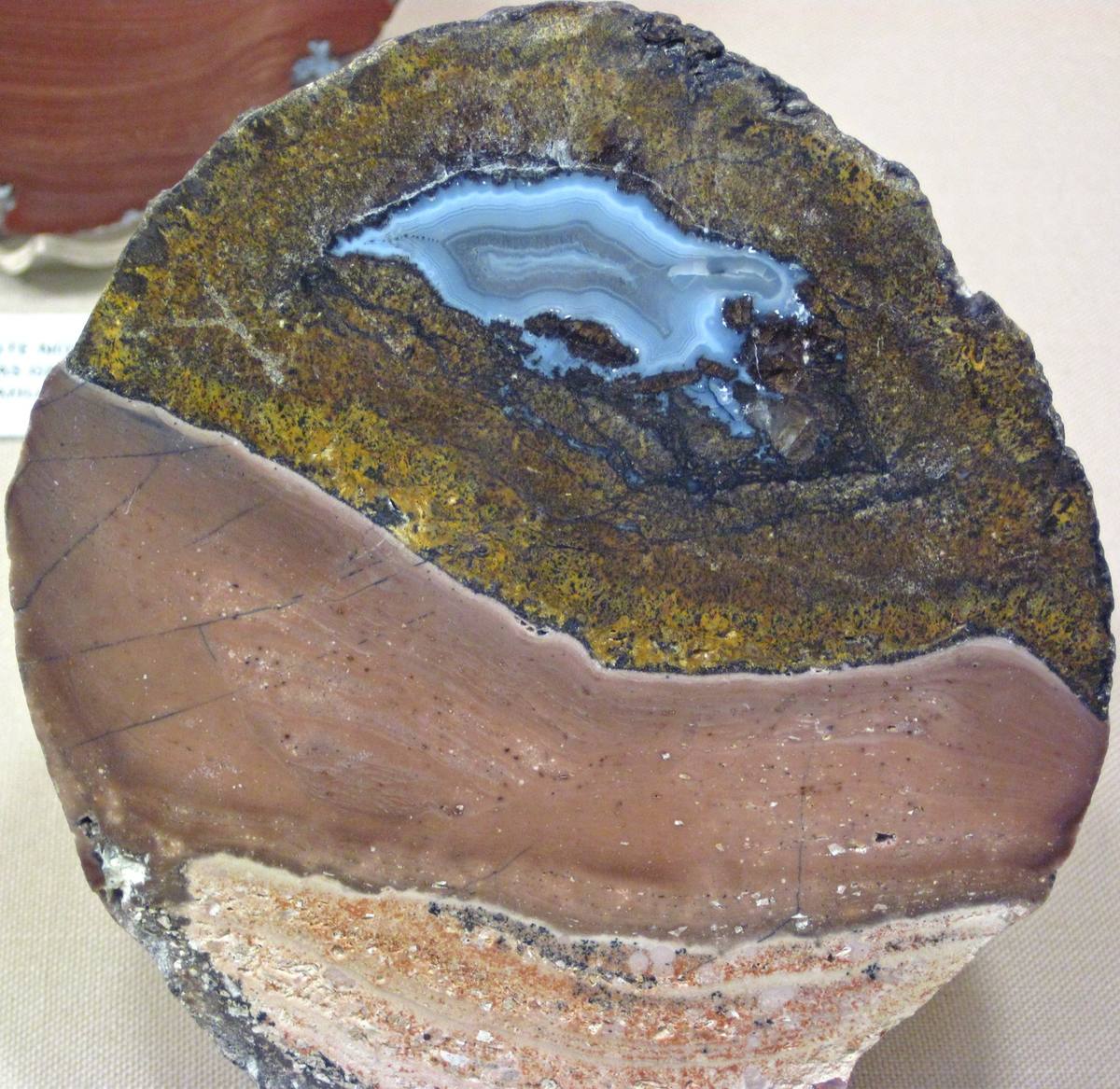 Las Choyas Coconut Geode gemstone