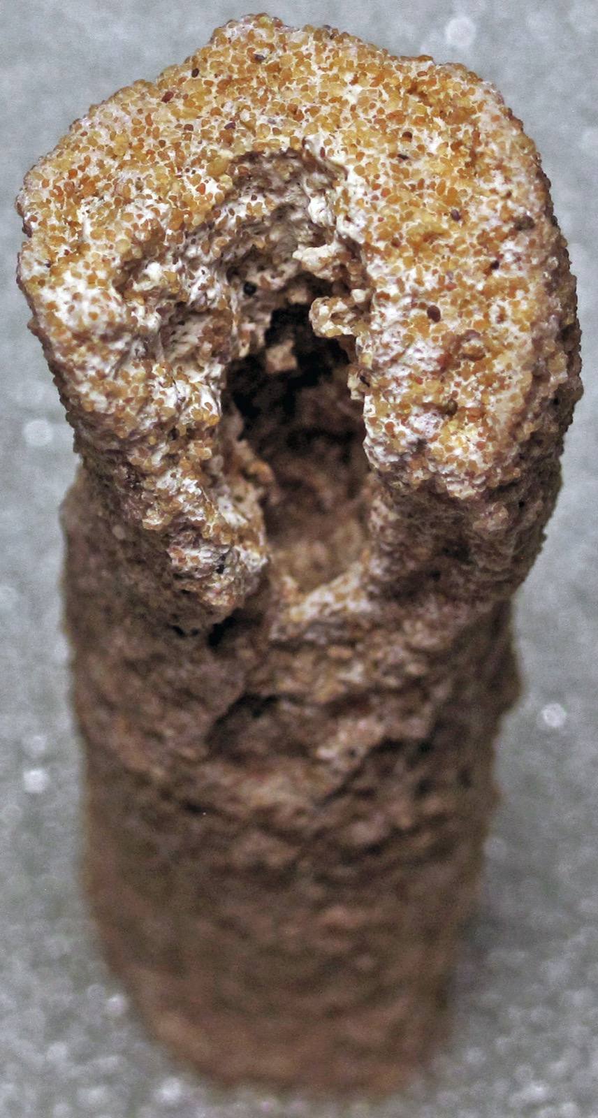 Fulgurite of lechatelierite glass, Sahara