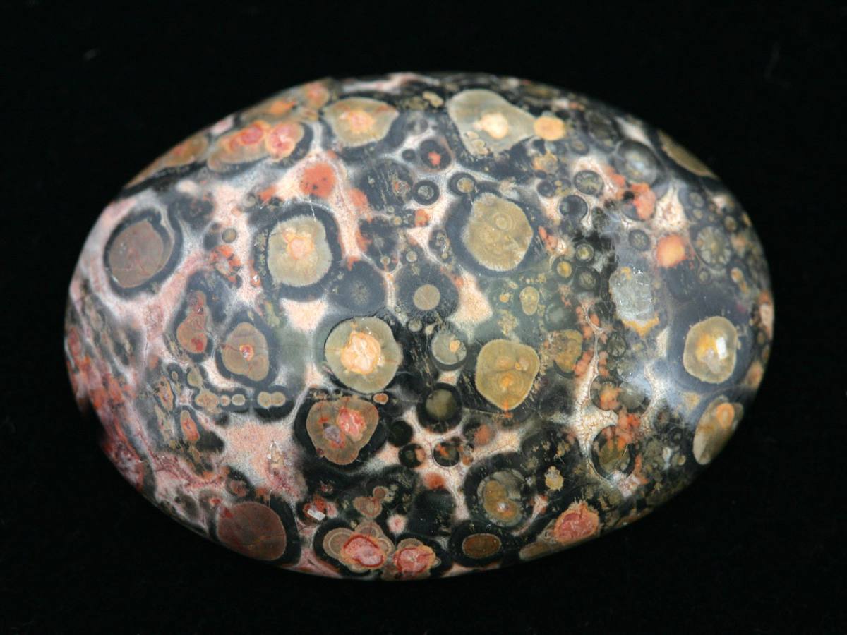 Leopard skin jasper cabochon showing orbicular spotting