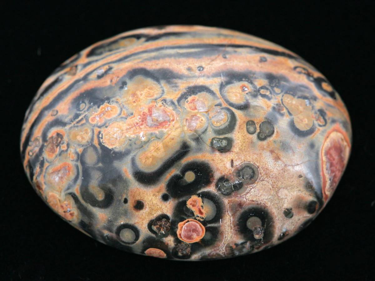 Leopard skin jasper cabochon with banded orbicular pattern