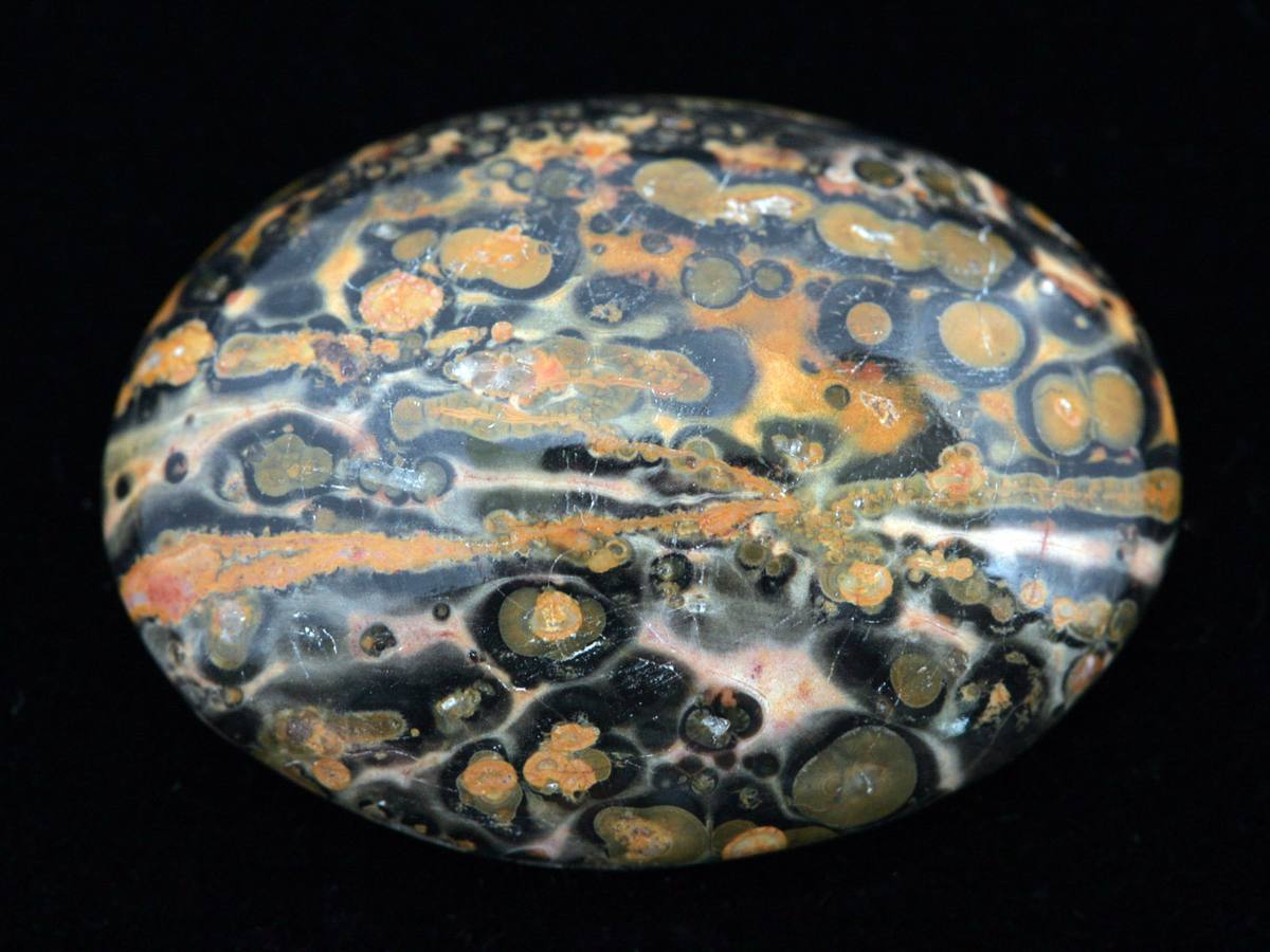 Leopard skin jasper cabochon, Estonian Museum of Natural History