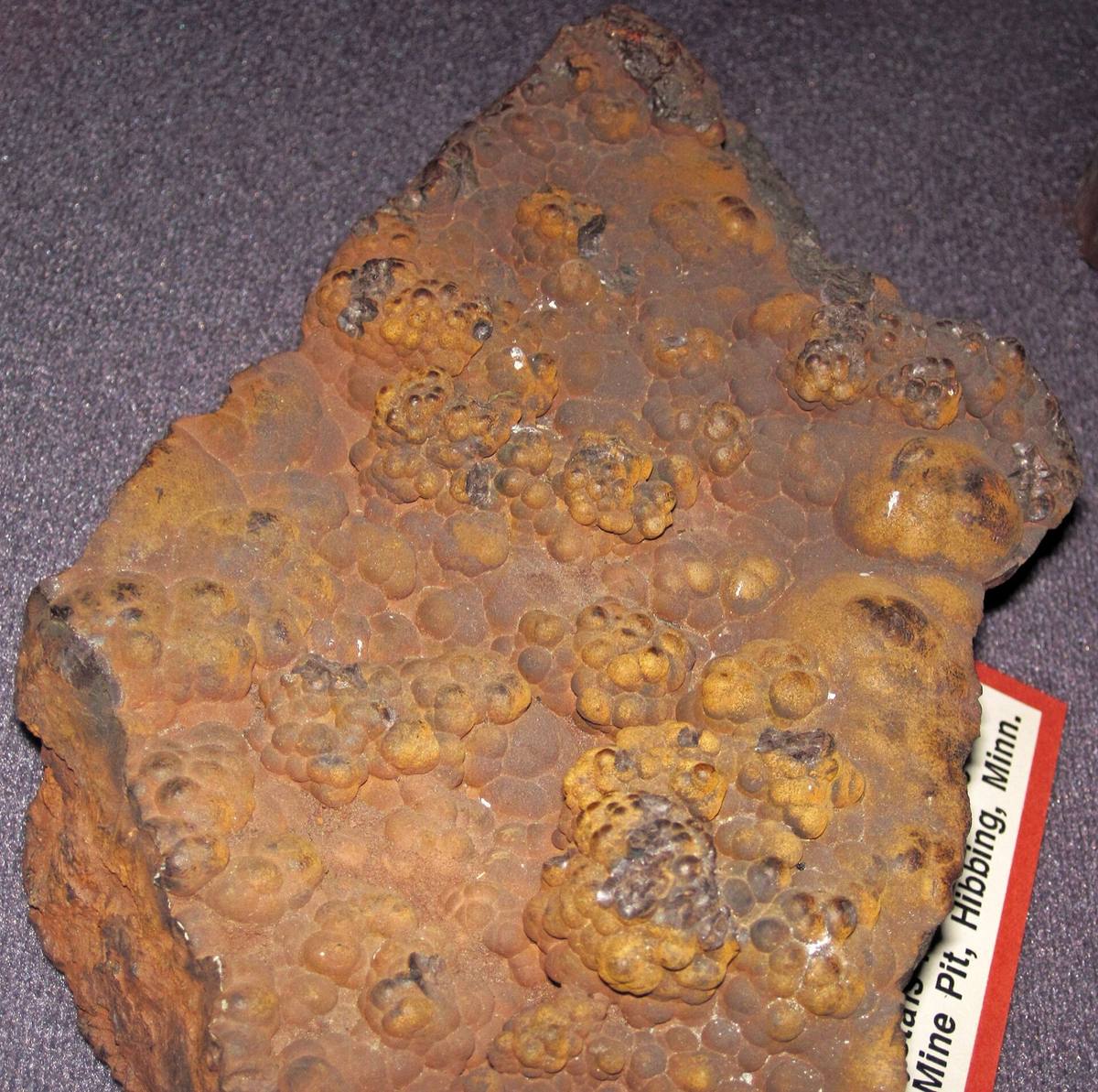 Botryoidal limonite crust, Hull-Rust Mine, Hibbing, Minnesota