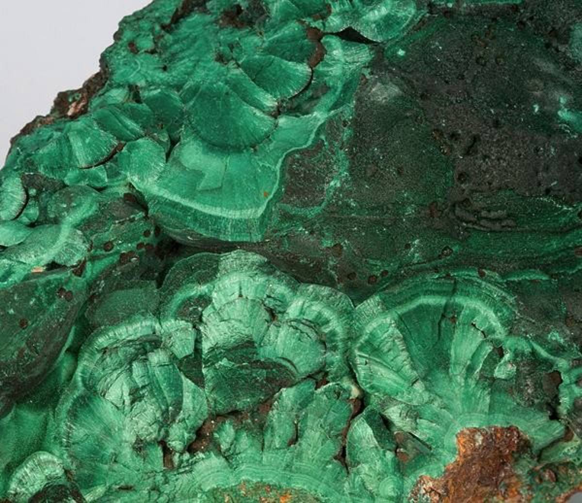 Brilliant green malachite florets with concentric banding, Bisbee, Arizona