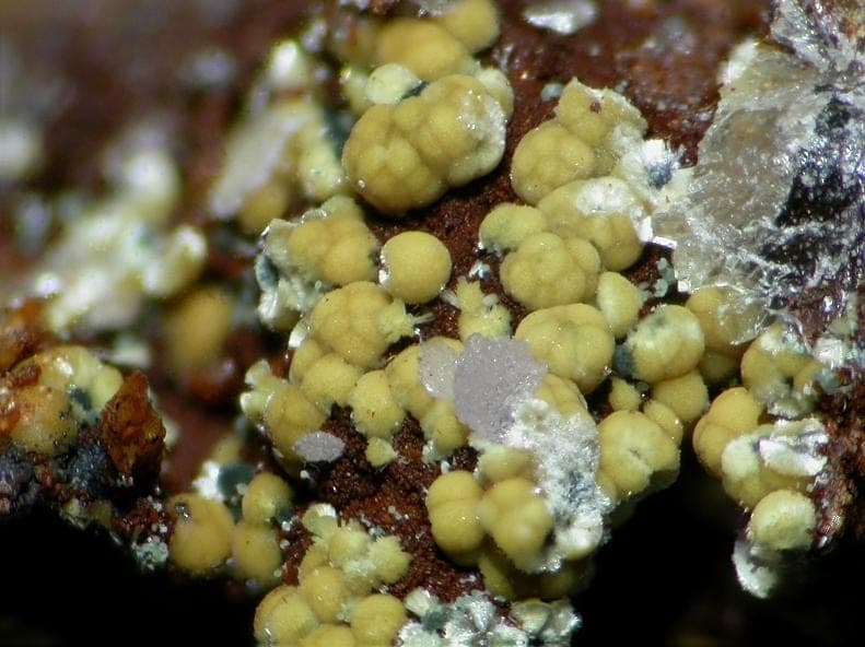 Meurigite-K mineral