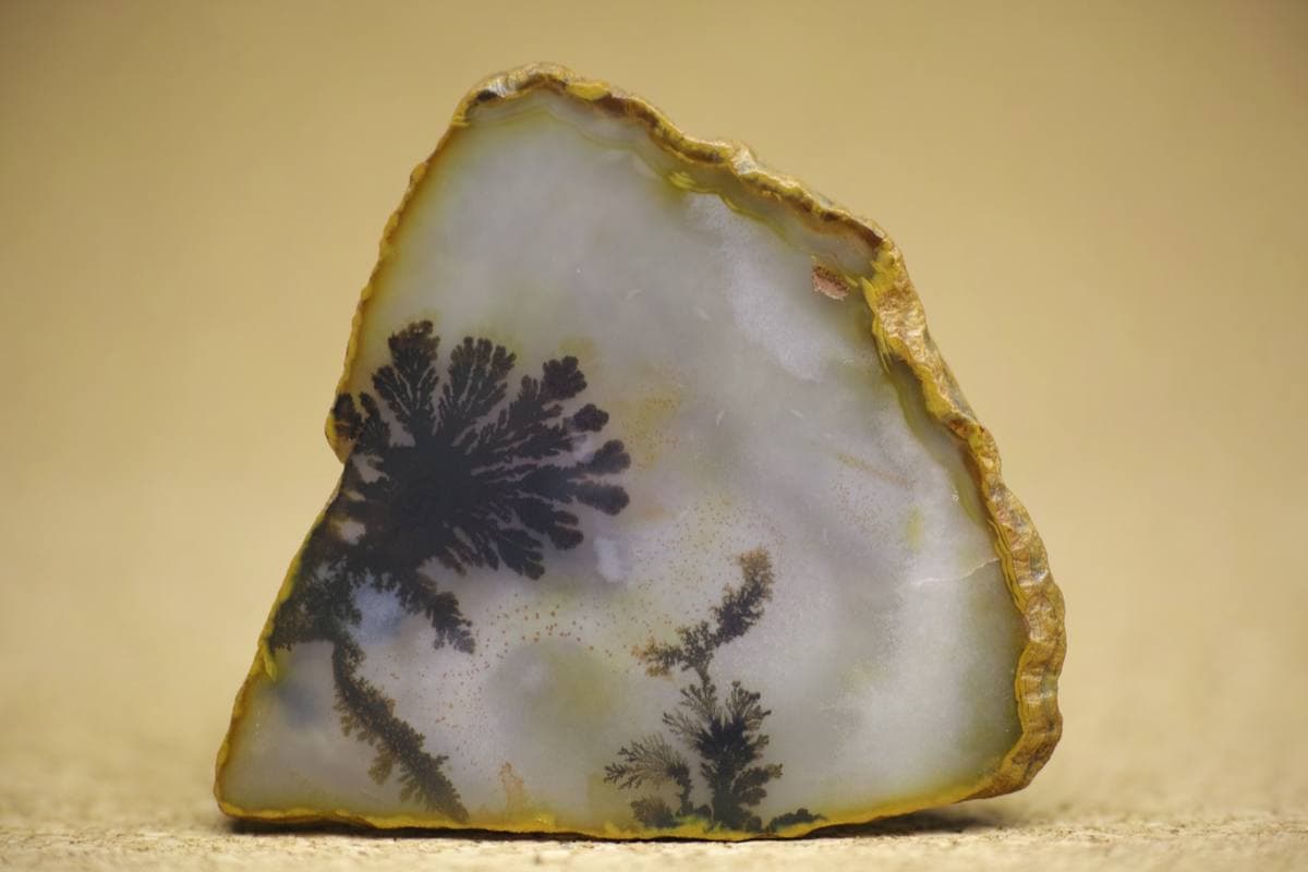 Montana Agate gemstone