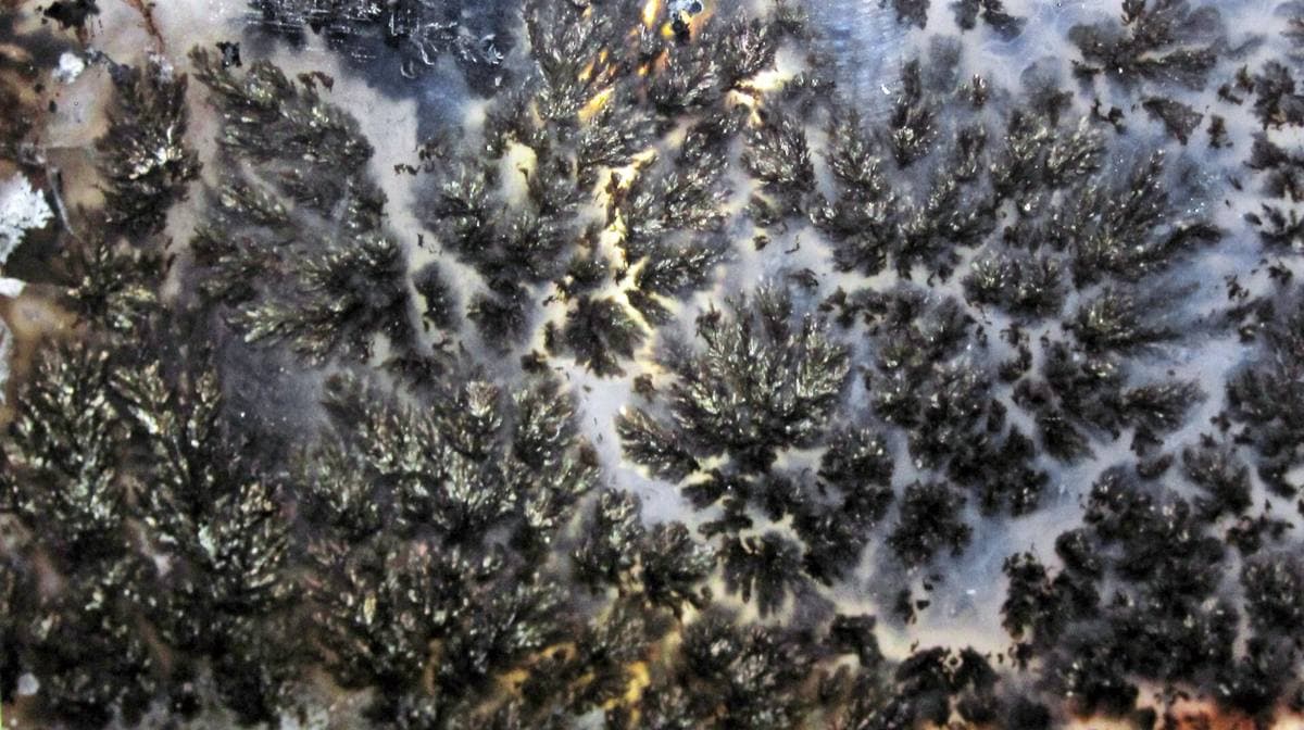 Macro of black manganese-oxide dendrites in translucent chalcedony