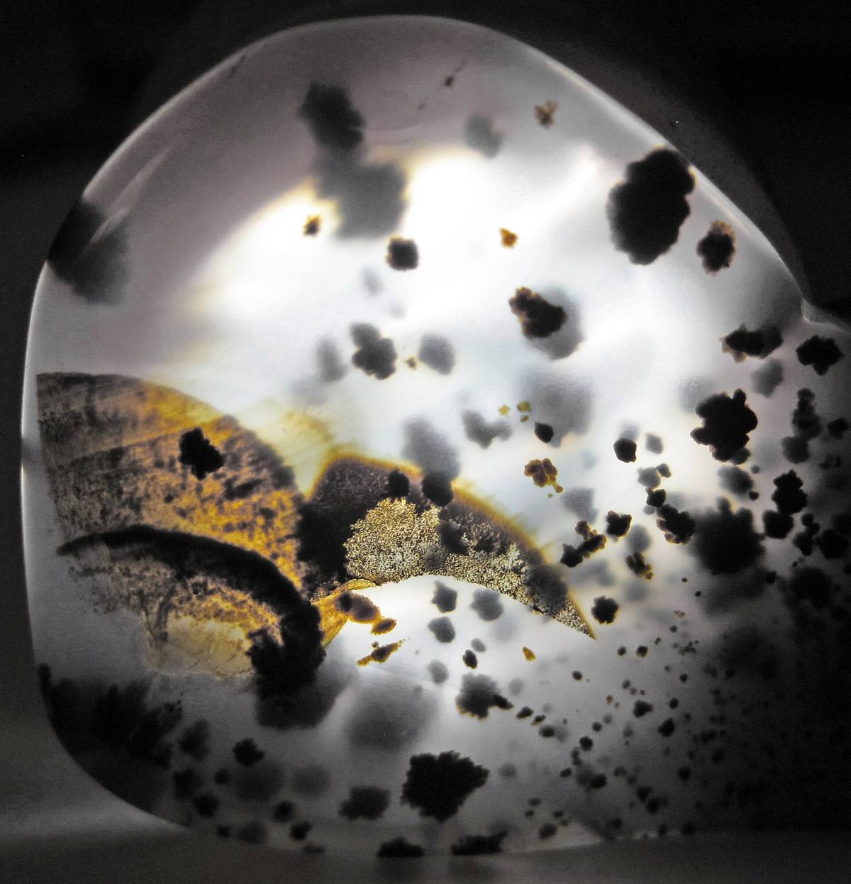 Backlit Montana moss agate showing translucency and banding