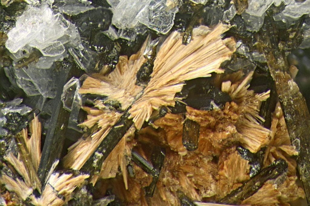 Niobokupletskite mineral