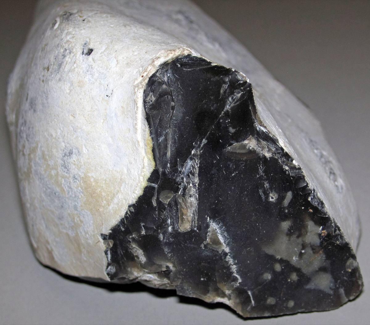 Nodule