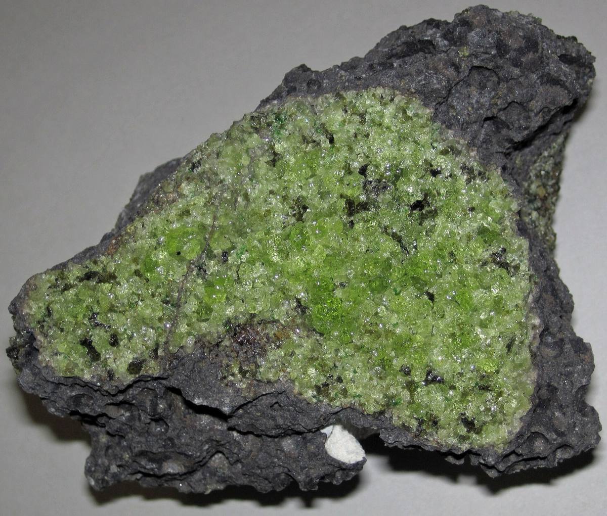 Olivine as a mantle xenolith in basalt