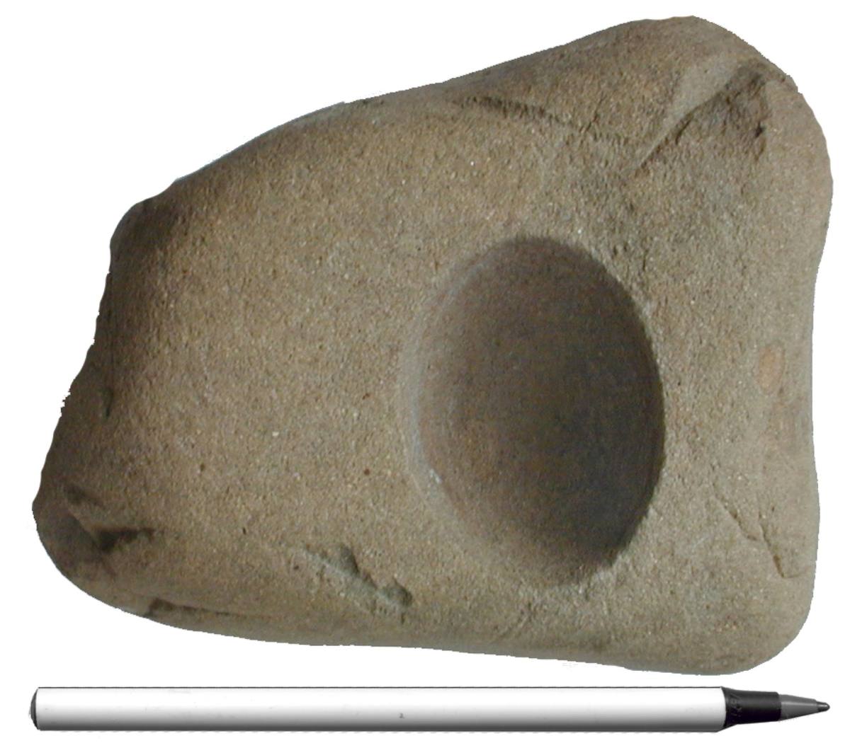 Omar cobble showing the hemispherical concretion void, with pen for scale