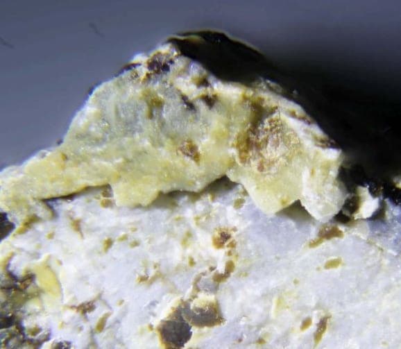 Para-alumohydrocalcite mineral