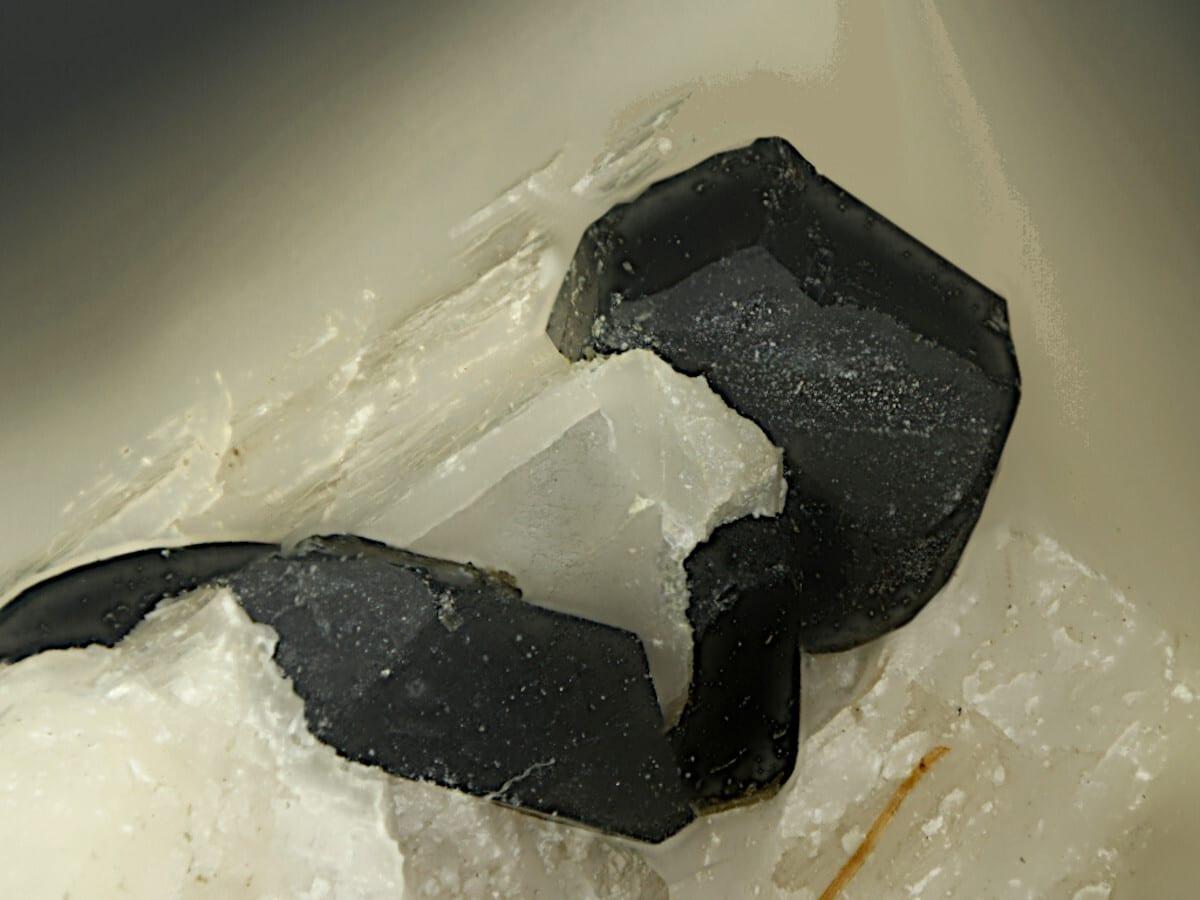 Potassic-fluoro-pargasite mineral