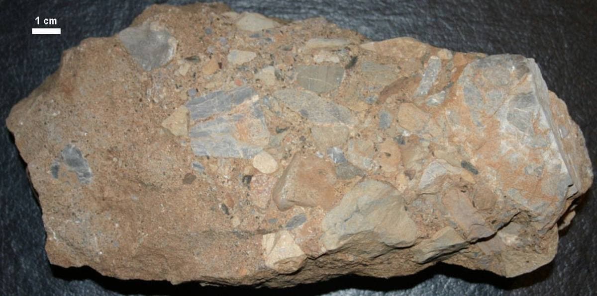 Leesburg Member limestone conglomerate, the rock quarried as Potomac Marble